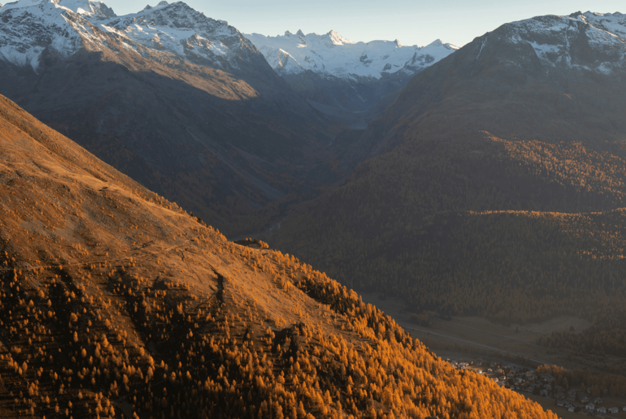 Earth-tone colours feature image