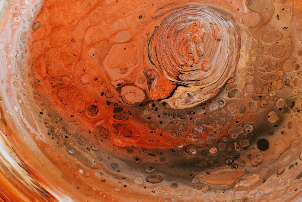 Discover colours that go with orange