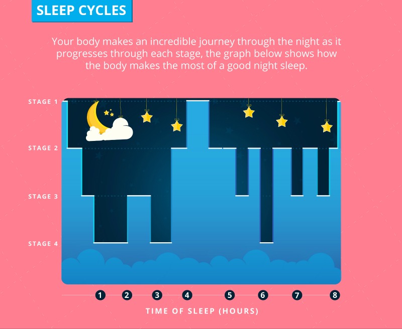 Graph showing sleep stages across the night
