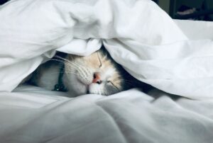 How Much Deep Sleep Do You Need?