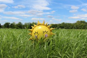 Why Does the Sun Make You Tired?