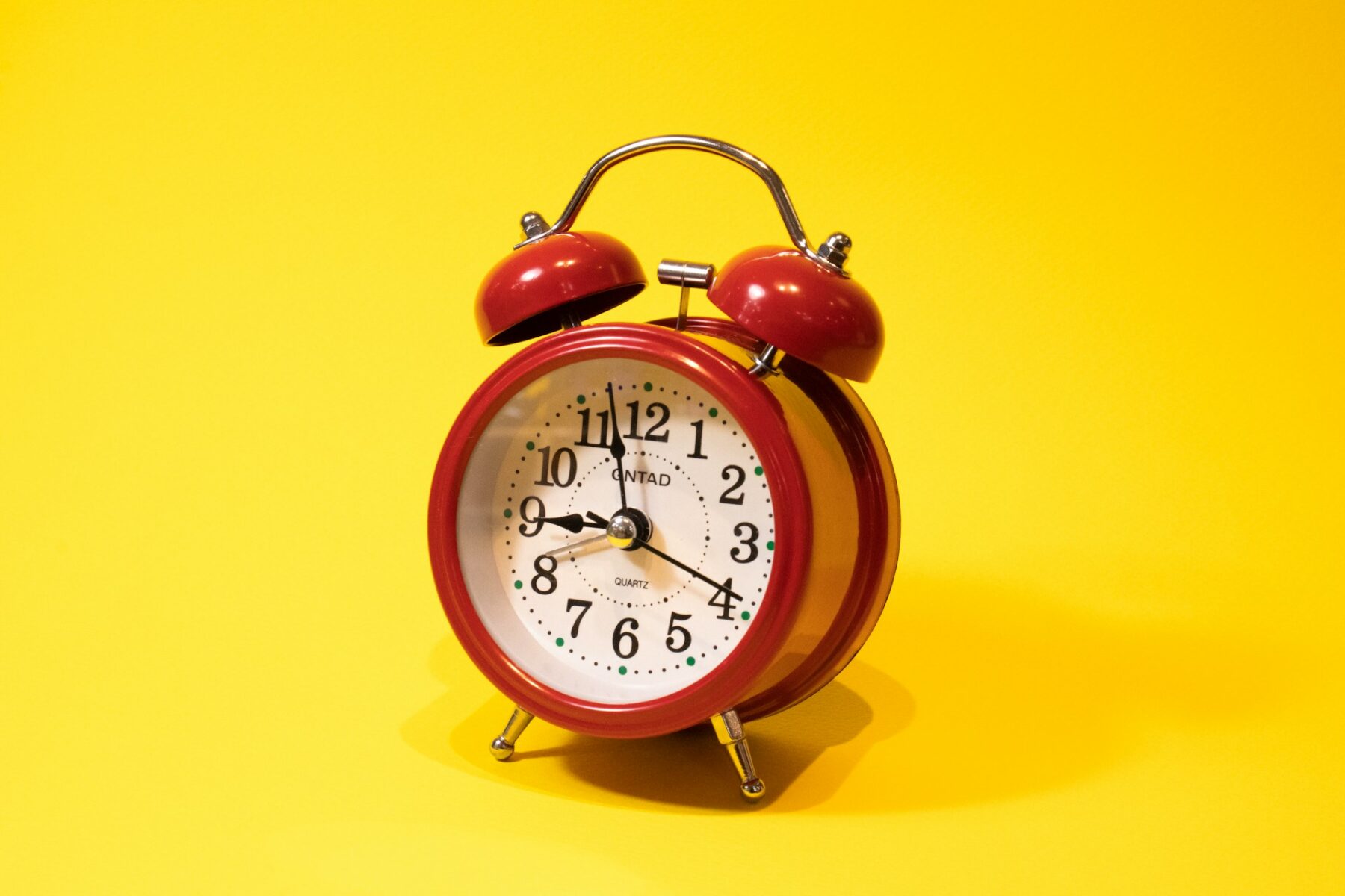 Are You a Night Owl or Early Bird?