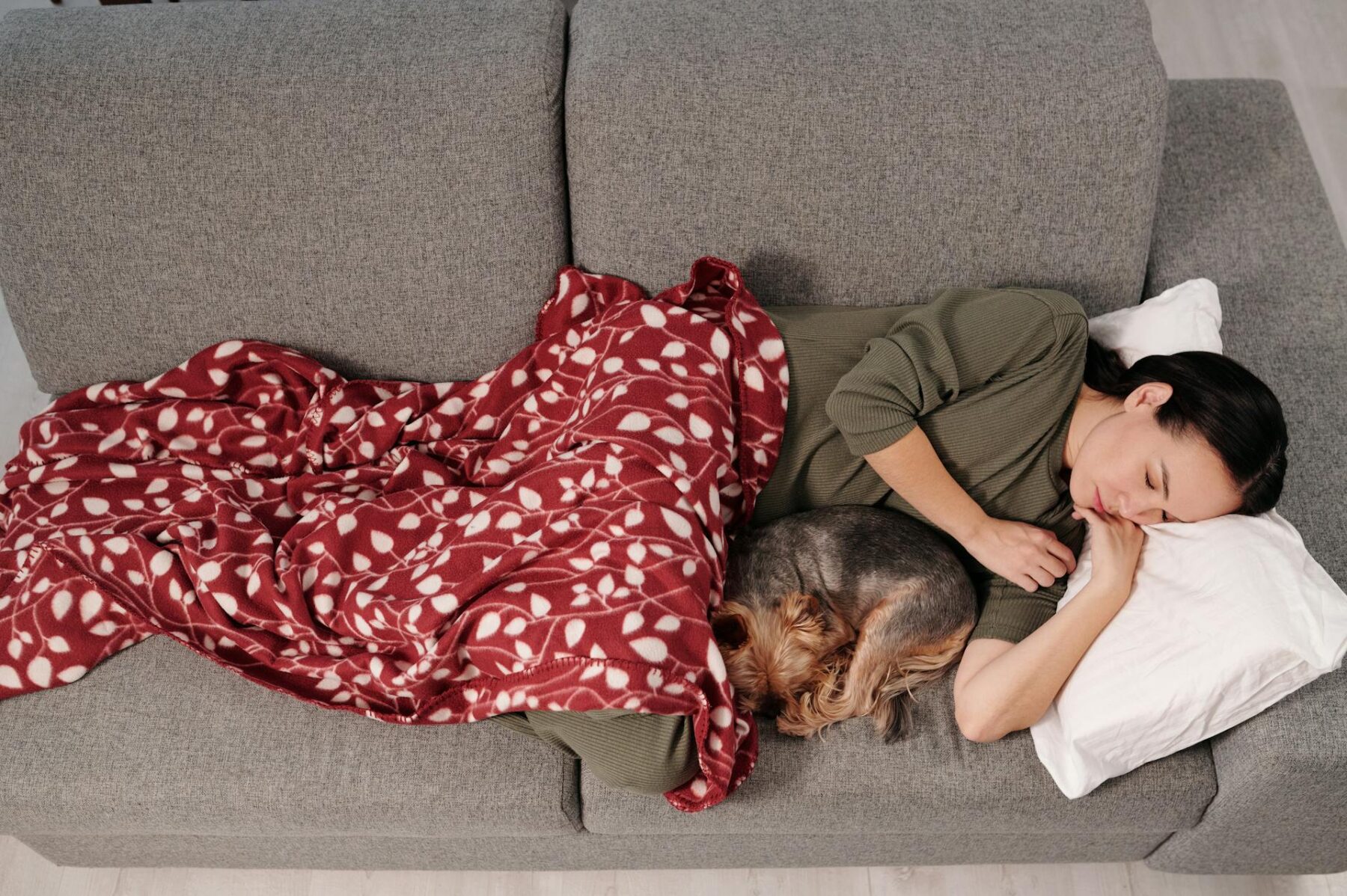 A woman and her dog peacefully sleeping on a gray sofa with a red blanket.