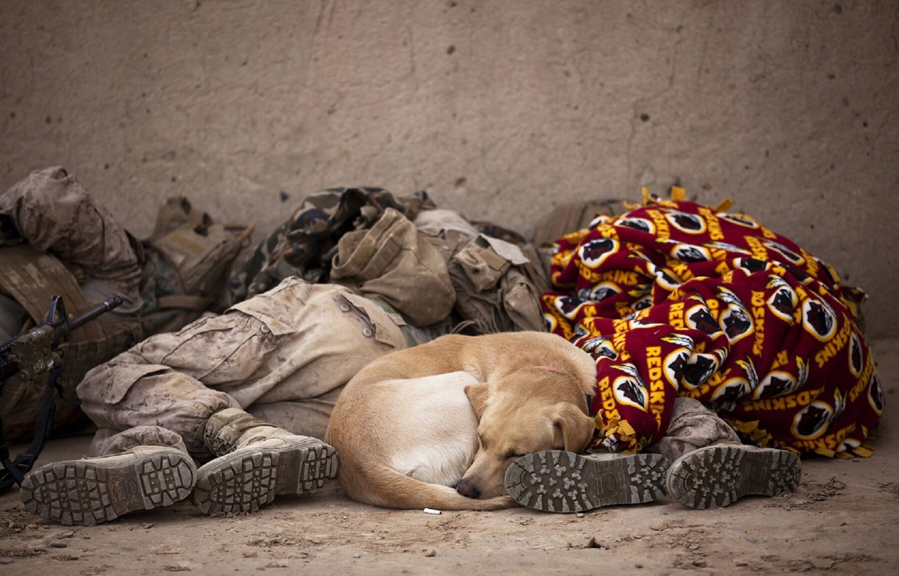 Two soldiers sleeping on the ground with a dog between them