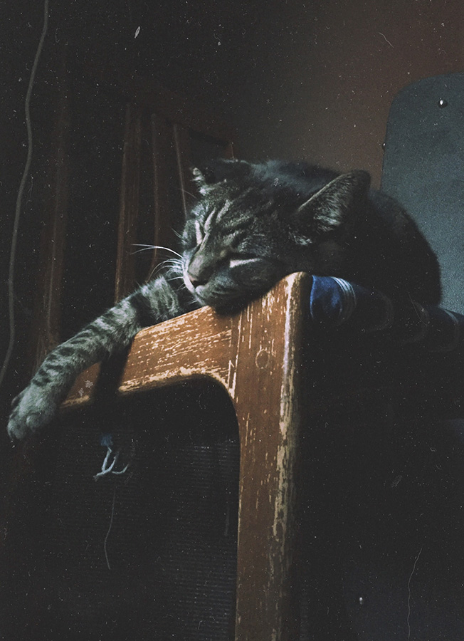 A grey tabby cat sleeping on a wooden table, with one paw hanging over the edge.